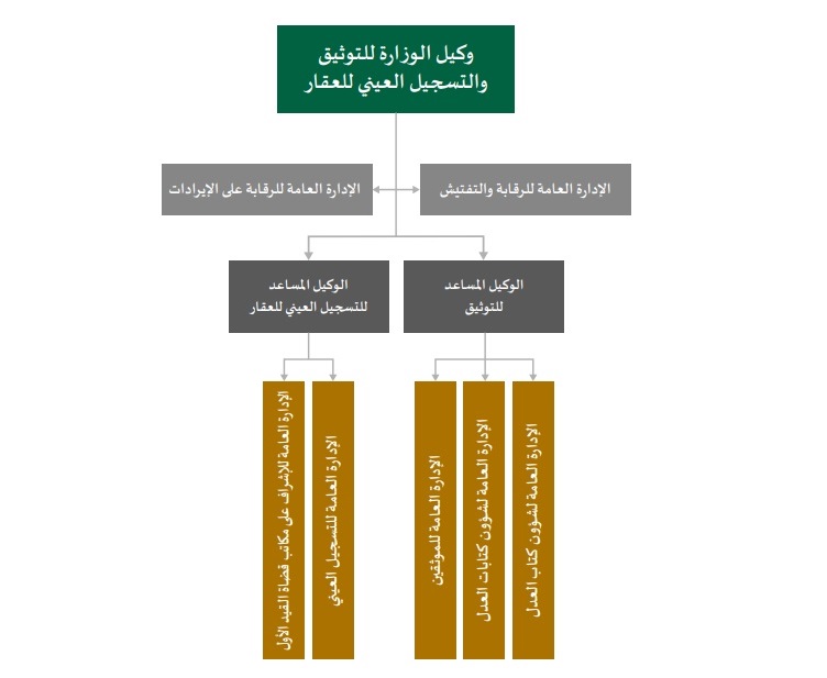 الهيكل التنظيمي