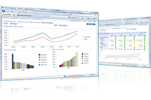 PerformancePoint dashboard screens